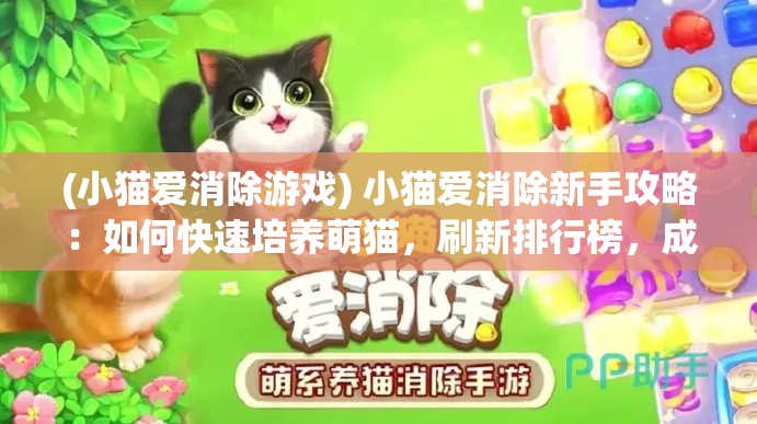 (小猫爱消除游戏) 小猫爱消除新手攻略：如何快速培养萌猫，刷新排行榜，成为消除高手！